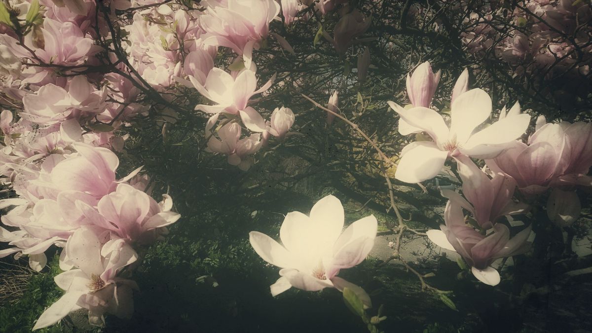 ₊˚⊹♡Мария Галиуллина